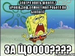 ЗАВТРА ОПЯТЬ ШКОЛА,7 УРОКІВ,ДОЩ,САМОСТІЙНА РОБОТА ПО БІОЛОГІЇ ЗА ЩОООО????, Мем Спанч Боб плачет