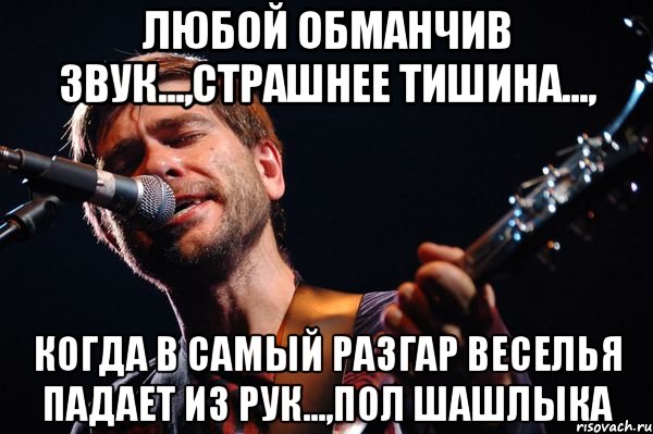 Любой обманчив звук...,страшнее тишина..., когда в самый разгар веселья падает из рук...,пол шашлыка