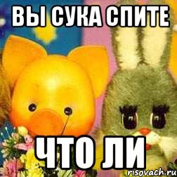 ВЫ СУКА СПИТЕ ЧТО ЛИ, Мем Спокойной ночи малыши
