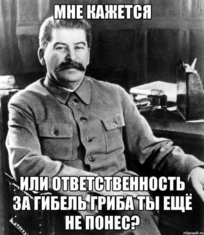 Мне кажется Или ответственность за гибель гриба ты ещё не понес?, Мем  иосиф сталин