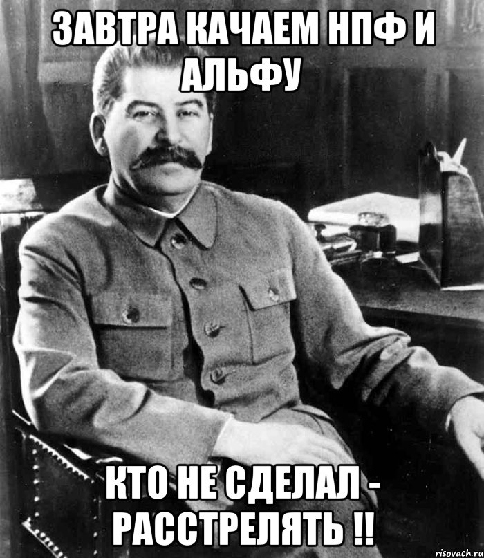 Завтра качаем НПФ и Альфу Кто не сделал - расстрелять !!, Мем  иосиф сталин
