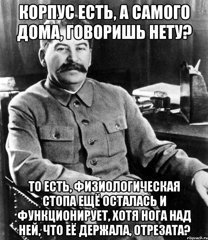 Корпус есть, а самого дома, говоришь нету? То есть, физиологическая стопа ещё осталась и функционирует, хотя нога над ней, что её держала, отрезата?, Мем  иосиф сталин