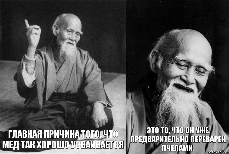  Главная причина того, что мед так хорошо усваивается  это то, что он уже предварительно переварен пчелами., Комикс Мудрец-монах (4 зоны)