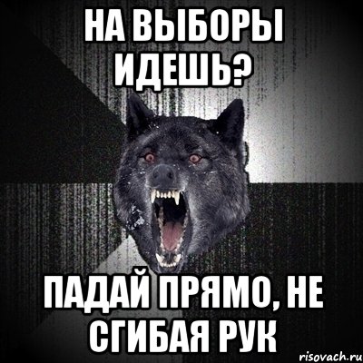 на выборы идешь? падай прямо, не сгибая рук, Мем Сумасшедший волк