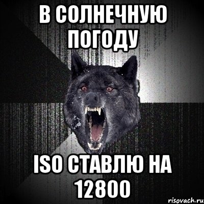 В СОЛНЕЧНУЮ ПОГОДУ ISO СТАВЛЮ НА 12800, Мем Сумасшедший волк