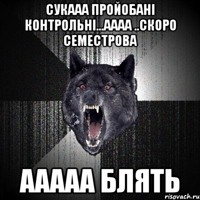 сукааа пройобані контрольні...аааа ..скоро семестрова аАААА блять, Мем Сумасшедший волк