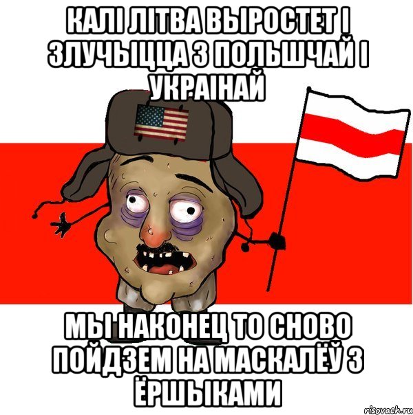 калі Літва выростет і злучыцца з Польшчай і Украінай мы наконец то сново пойдзем на маскалёў з ёршыками, Мем  свидомит