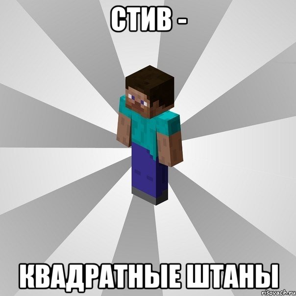 Стив - квадратные штаны, Мем Типичный игрок Minecraft