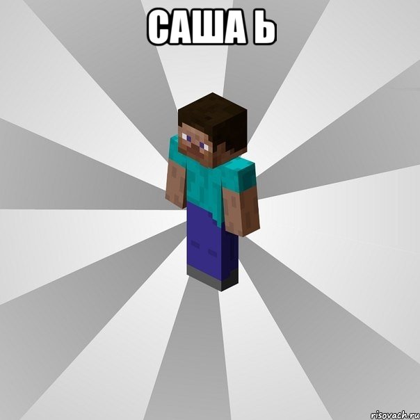 саша ь , Мем Типичный игрок Minecraft