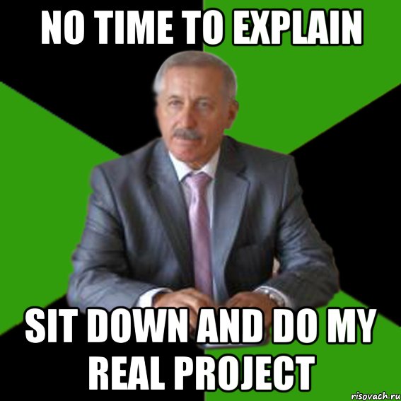 no time to explain sit down and do my real project
