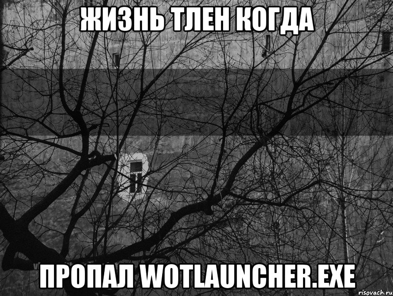 Жизнь тлен когда пропал Wotlauncher.exe, Мем Тлен