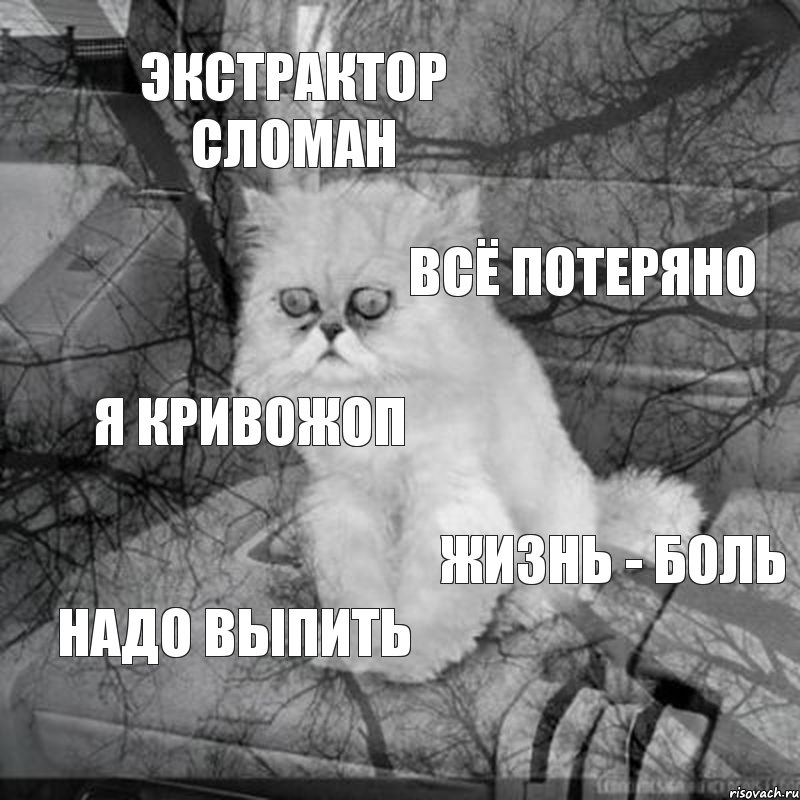 экстрактор сломан всё потеряно я кривожоп жизнь - боль надо выпить, Комикс  кот безысходность