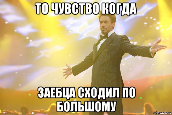 то чувство когда заебца сходил по большому, Мем Тони Старк (Роберт Дауни младший)