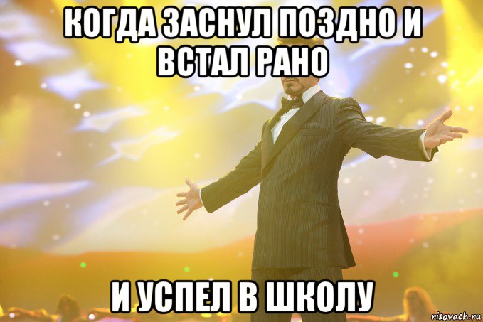 Когда заснул поздно и встал рано И успел в школу, Мем Тони Старк (Роберт Дауни младший)