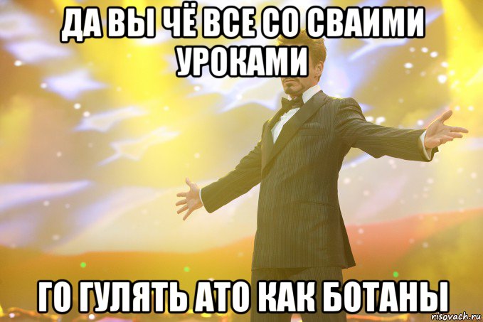 да вы чё все со сваими уроками го гулять ато как ботаны, Мем Тони Старк (Роберт Дауни младший)