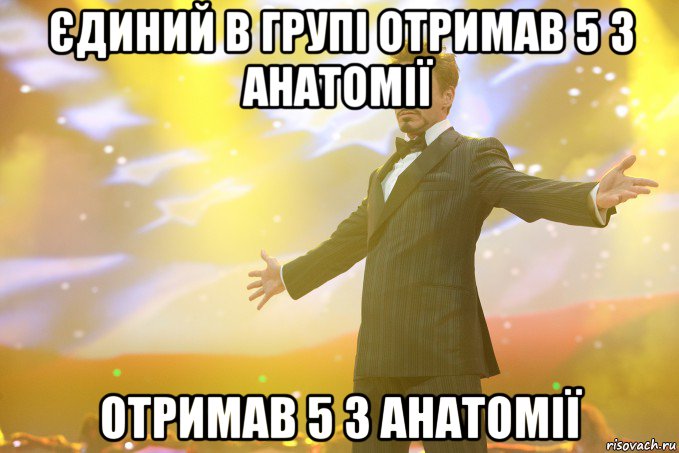 єдиний в групі отримав 5 з Анатомії отримав 5 з Анатомії, Мем Тони Старк (Роберт Дауни младший)