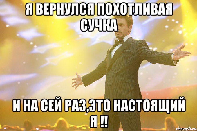 Я вернулся похотливая сучка И на сей раз,это настоящий Я !!, Мем Тони Старк (Роберт Дауни младший)