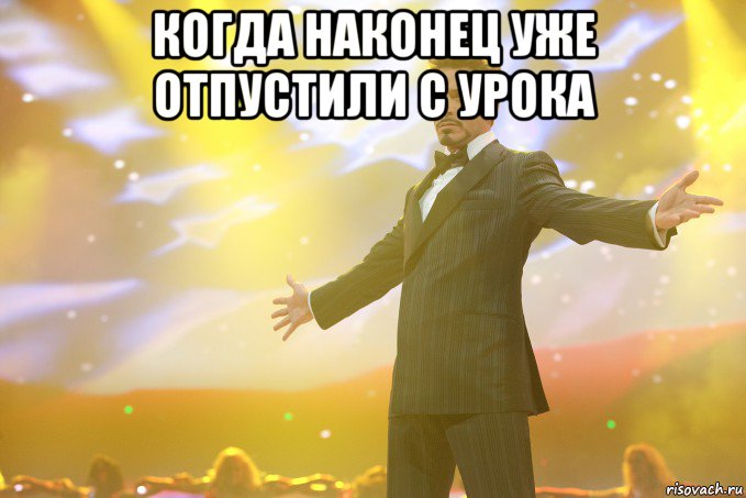 Когда наконец уже отпустили с урока , Мем Тони Старк (Роберт Дауни младший)