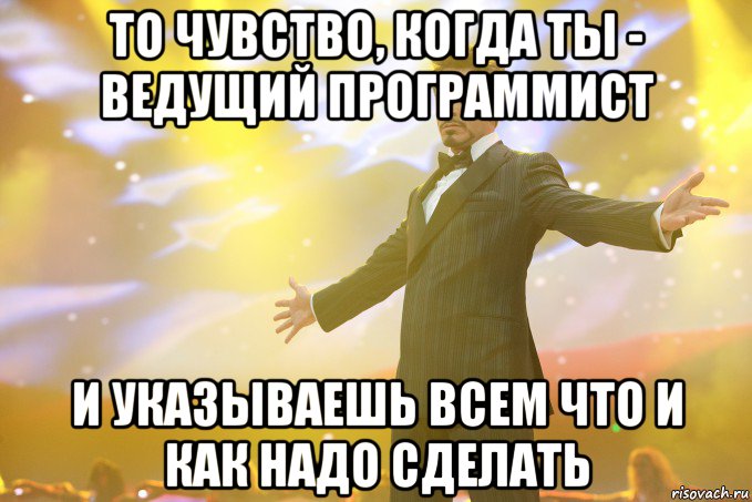 То чувство, когда ты - ведущий программист и указываешь всем что и как надо сделать, Мем Тони Старк (Роберт Дауни младший)