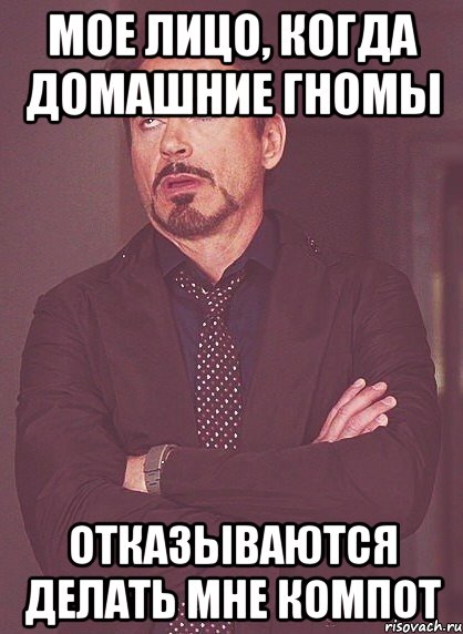 мое лицо, когда домашние гномы отказываются делать мне компот, Мем твое выражение лица