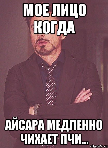 Мое лицо когда Айсара медленно чихает пчи..., Мем твое выражение лица