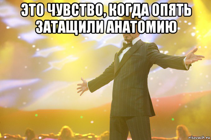 Это чувство, когда опять затащили анатомию , Мем Тони Старк (Роберт Дауни младший)