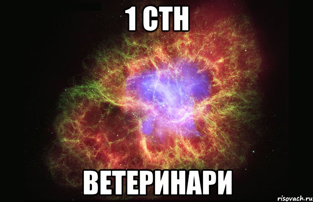 1 стн ветеринари, Мем Туманность