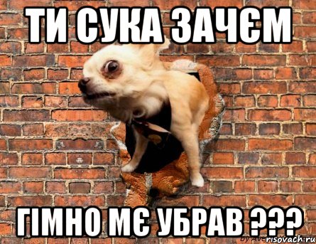 Ти сука зачєм гімно мє убрав ???