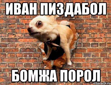 Иван пиздабол бомжа порол, Мем Тузик