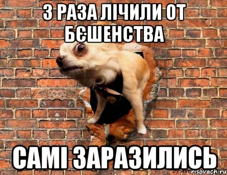 3 раза лічили от бєшенства самі заразились