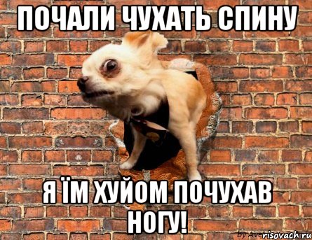 почали чухать спину я їм хуйом почухав ногу!