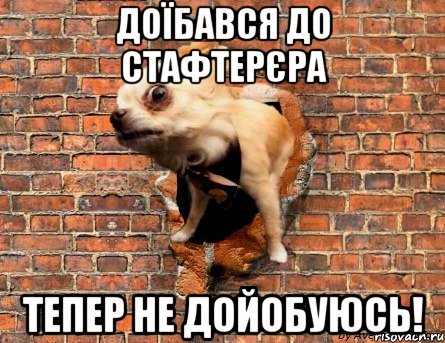 доїбався до стафтерєра тепер не дойобуюсь!