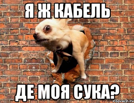 Я ж кабель де моя сука?