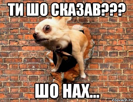 ТИ ШО СКАЗАВ??? ШО НАХ...