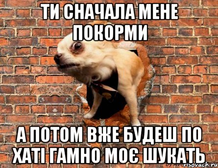 Ти сначала мене покорми а потом вже будеш по хаті гамно моє шукать