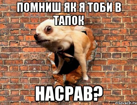 помниш як я тоби в тапок насрав?