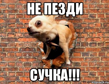 НЕ ПЕЗДИ СУЧКА!!!