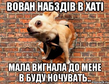 Вован набздів в хаті Мала вигнала до мене в буду ночувать..