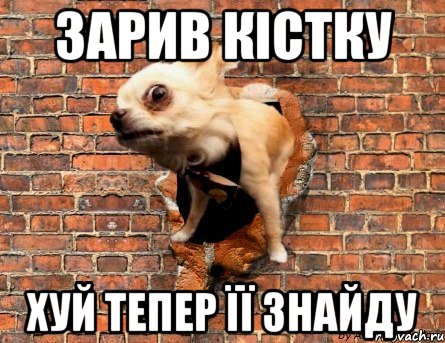 Зарив кістку Хуй тепер її знайду
