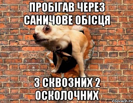 Пробігав через Саничове обісця 3 сквозних 2 осколочних