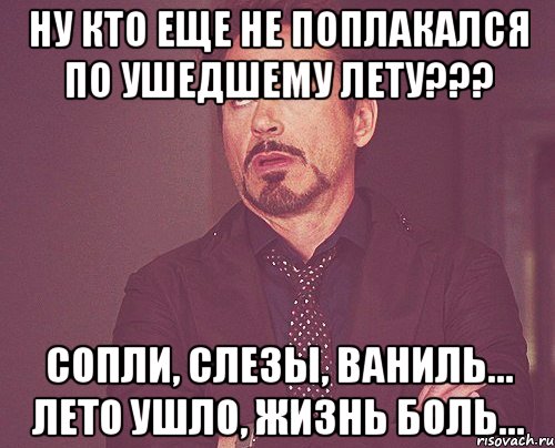 ну кто еще не поплакался по ушедшему лету??? сопли, слезы, ваниль... лето ушло, жизнь боль..., Мем твое выражение лица