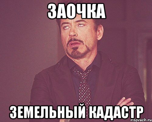 заочка земельный кадастр, Мем твое выражение лица
