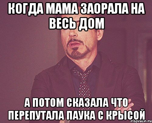 когда мама заорала на весь дом А потом сказала что перепутала паука с крысой, Мем твое выражение лица