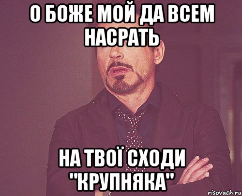 О боже мой да всем насрать на твої сходи "крупняка", Мем твое выражение лица