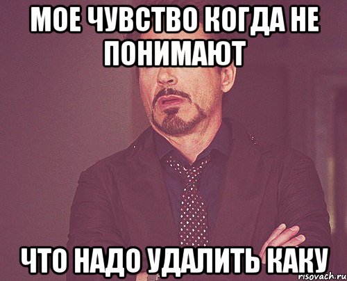 мое чувство когда не понимают что надо удалить каку, Мем твое выражение лица
