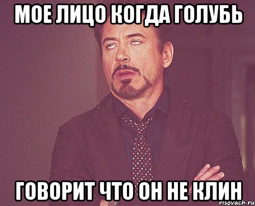 Мое лицо когда Голубь говорит что он не клин, Мем твое выражение лица