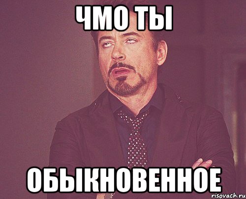 ЧМО ТЫ ОБЫКНОВЕННОЕ, Мем твое выражение лица