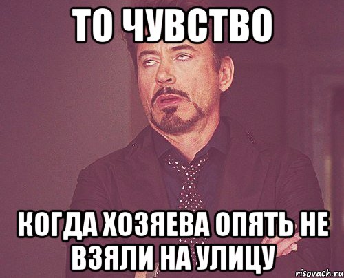 то чувство когда хозяева опять не взяли на улицу, Мем твое выражение лица