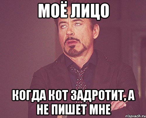 МОЁ ЛИЦО КОГДА КОТ ЗАДРОТИТ, А НЕ ПИШЕТ МНЕ, Мем твое выражение лица