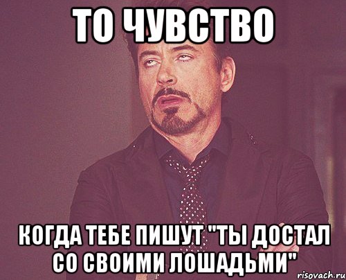 То чувство Когда тебе пишут "Ты достал со своими лошадьми", Мем твое выражение лица